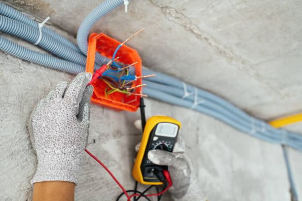 Best Electric Panel Repair  in Beach Haven West, NJ